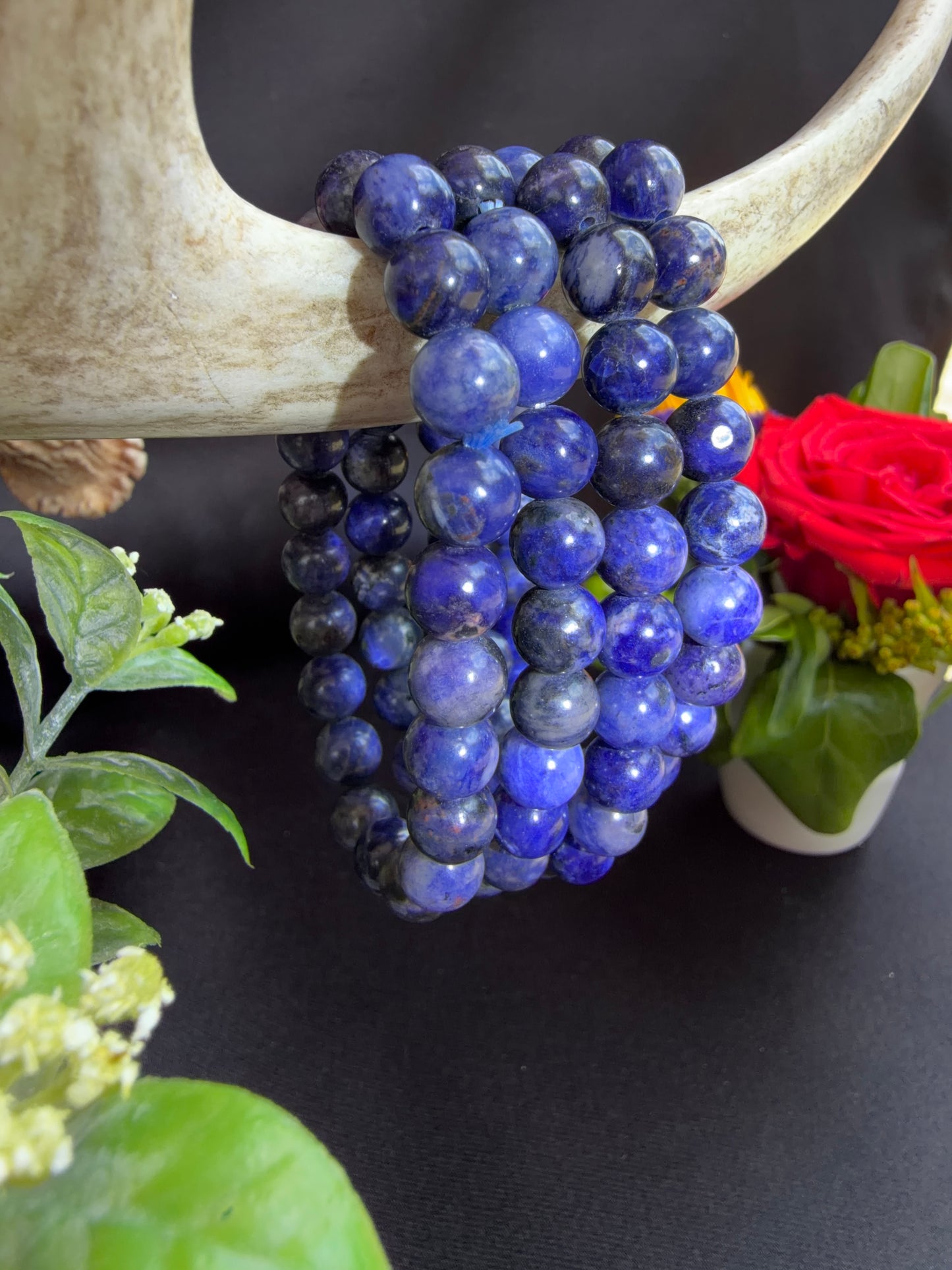 Sodalite Bracelets