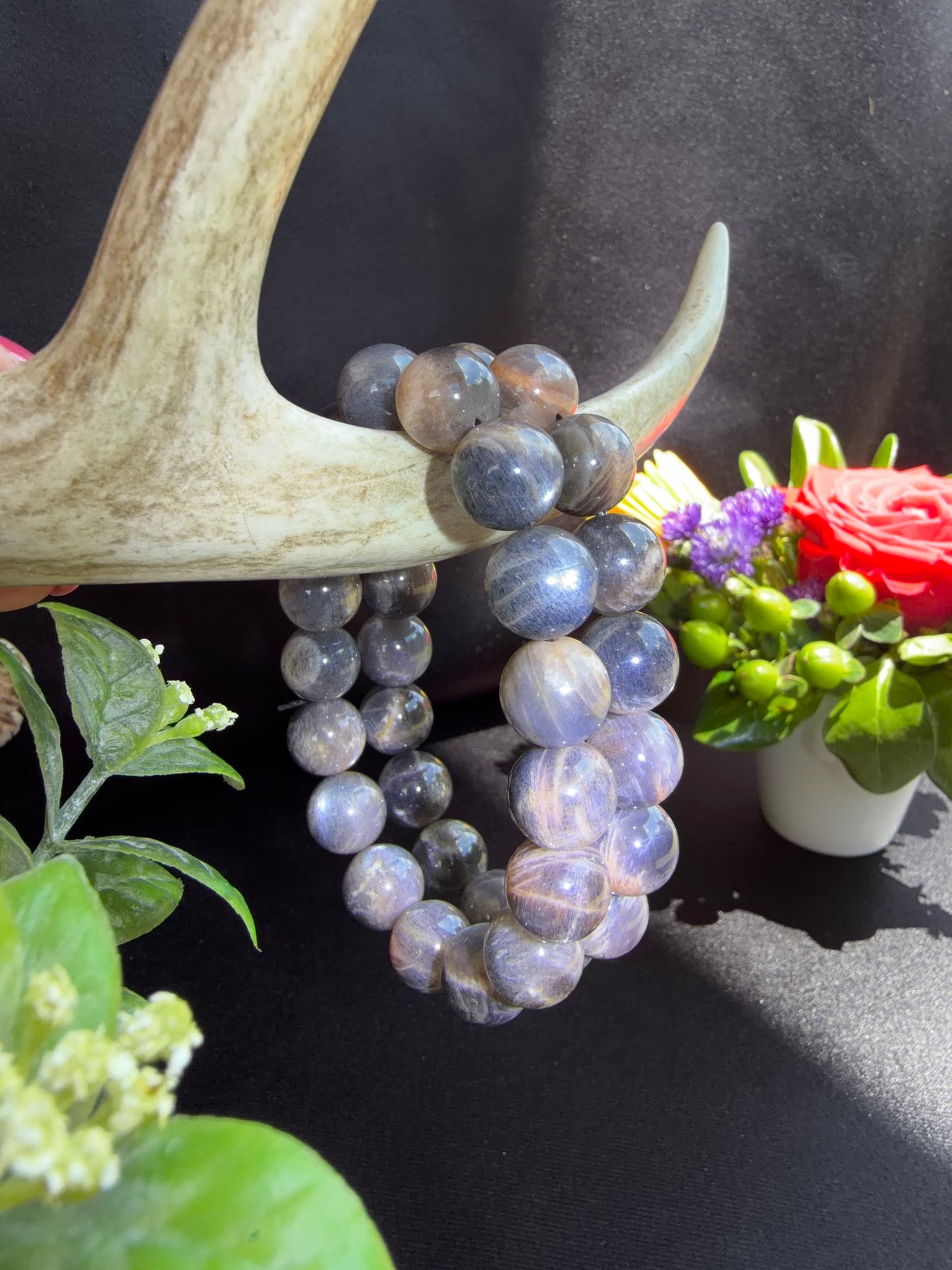 Backbone Moonstone Bracelets