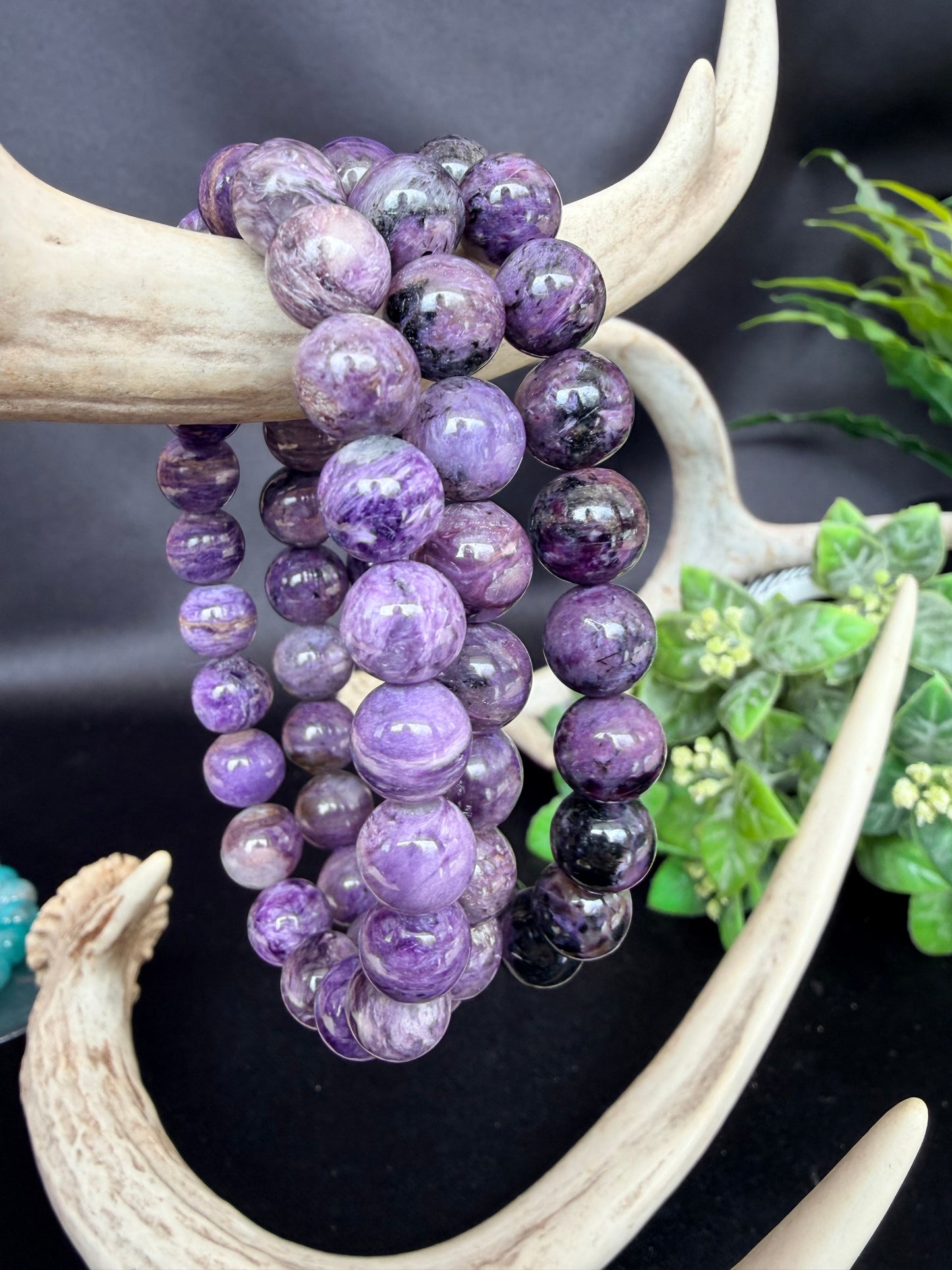 Charoite Bracelets