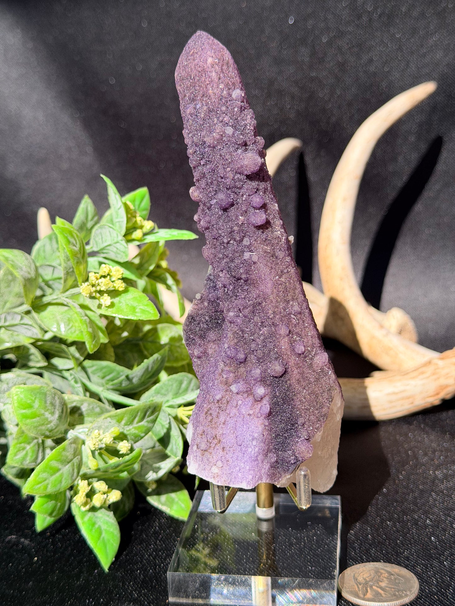 Fluorite coated Quartz B | Inner Mongolia