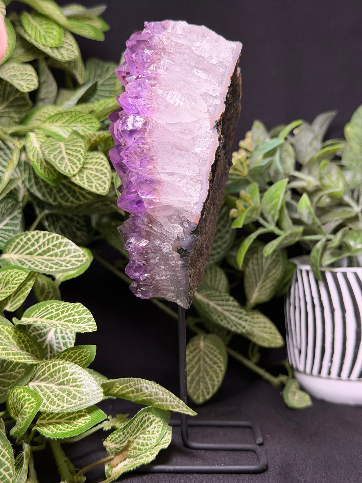 Amethyst Cluster on Stand