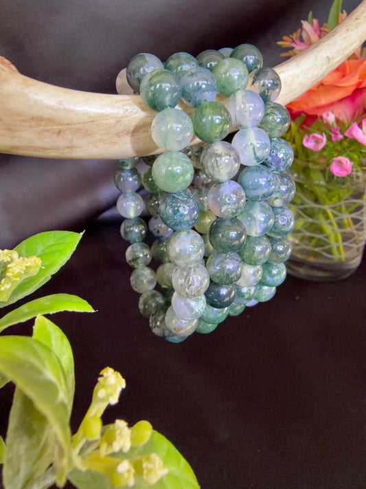 Ice Moss Agate Bracelets