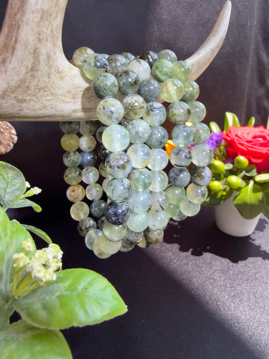 Prehnite Bracelets
