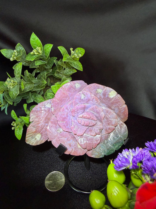 Sea Jasper Flower