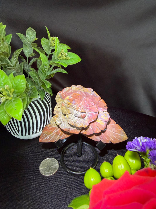 Sea Jasper Flower