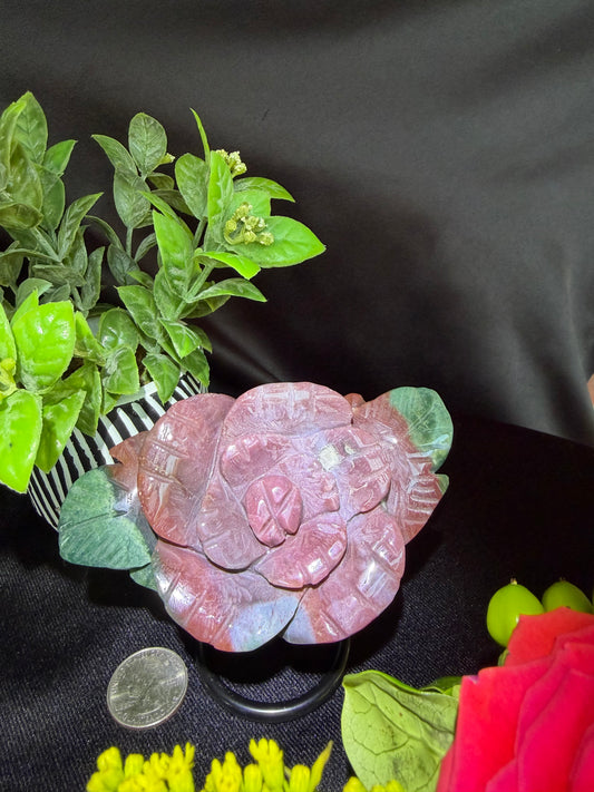 Sea Jasper Flower