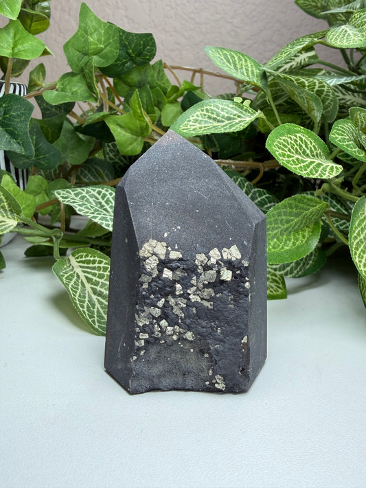 Shungite with Pyrite Tower F