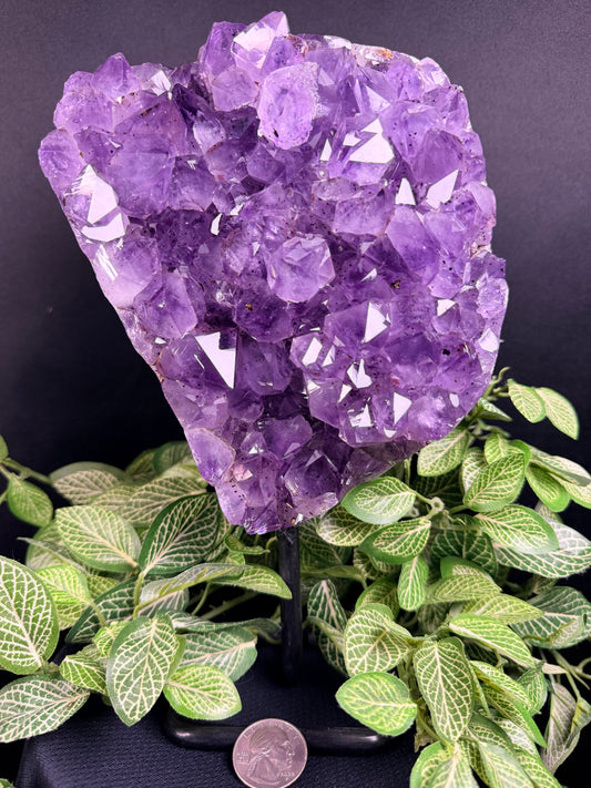Amethyst on custom stand