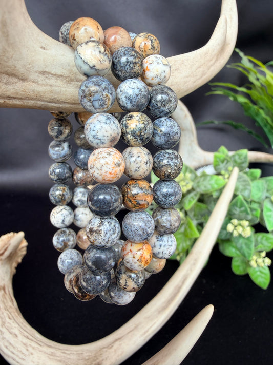 Fossil Jasper Bracelets