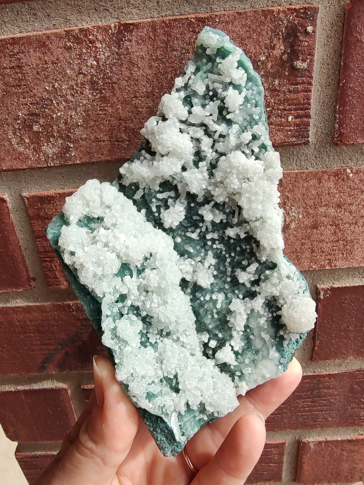 Green Marshy - India