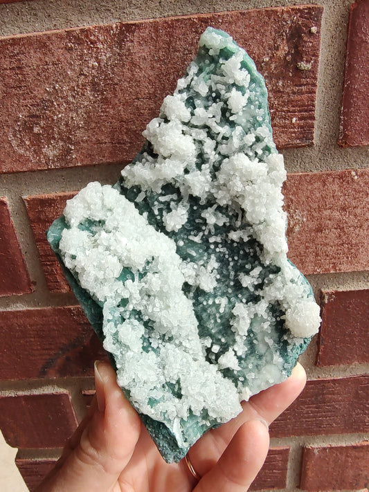 Green Marshy - India