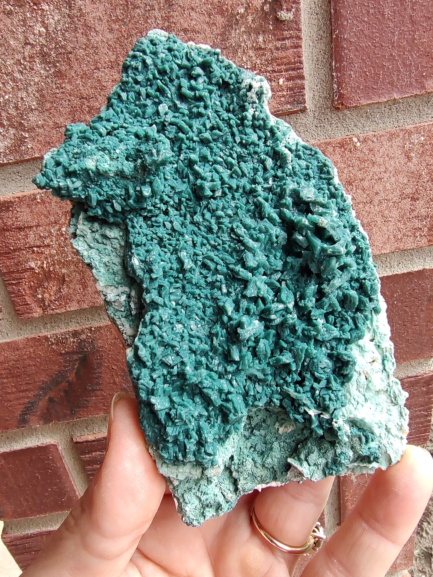 Green Marshy - India