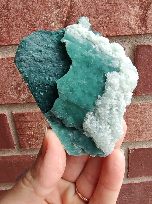 Green Marshy - India