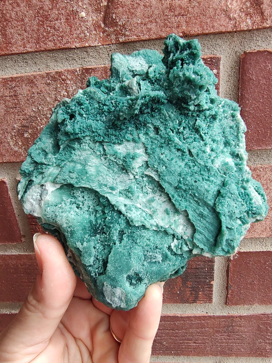 Green Marshy - India