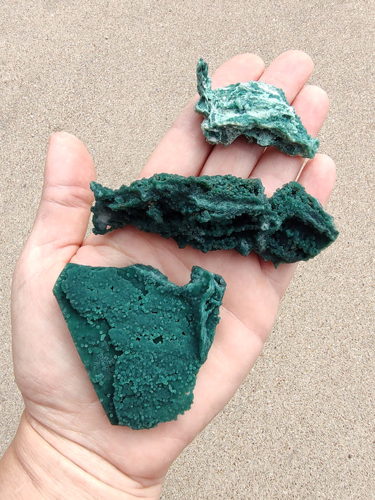 Green Marshy - India