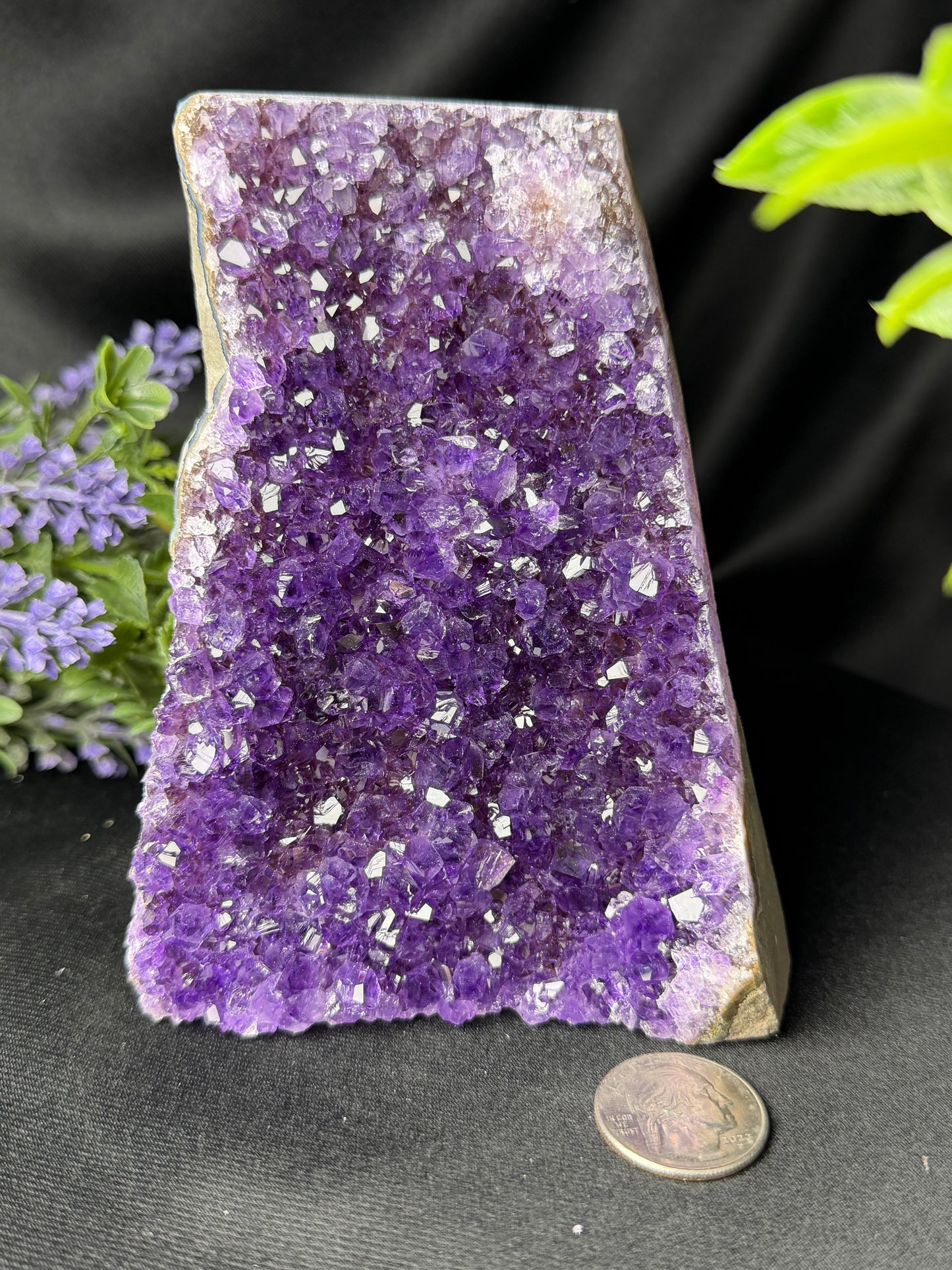 Uruguayan Amethyst Cut Base AA