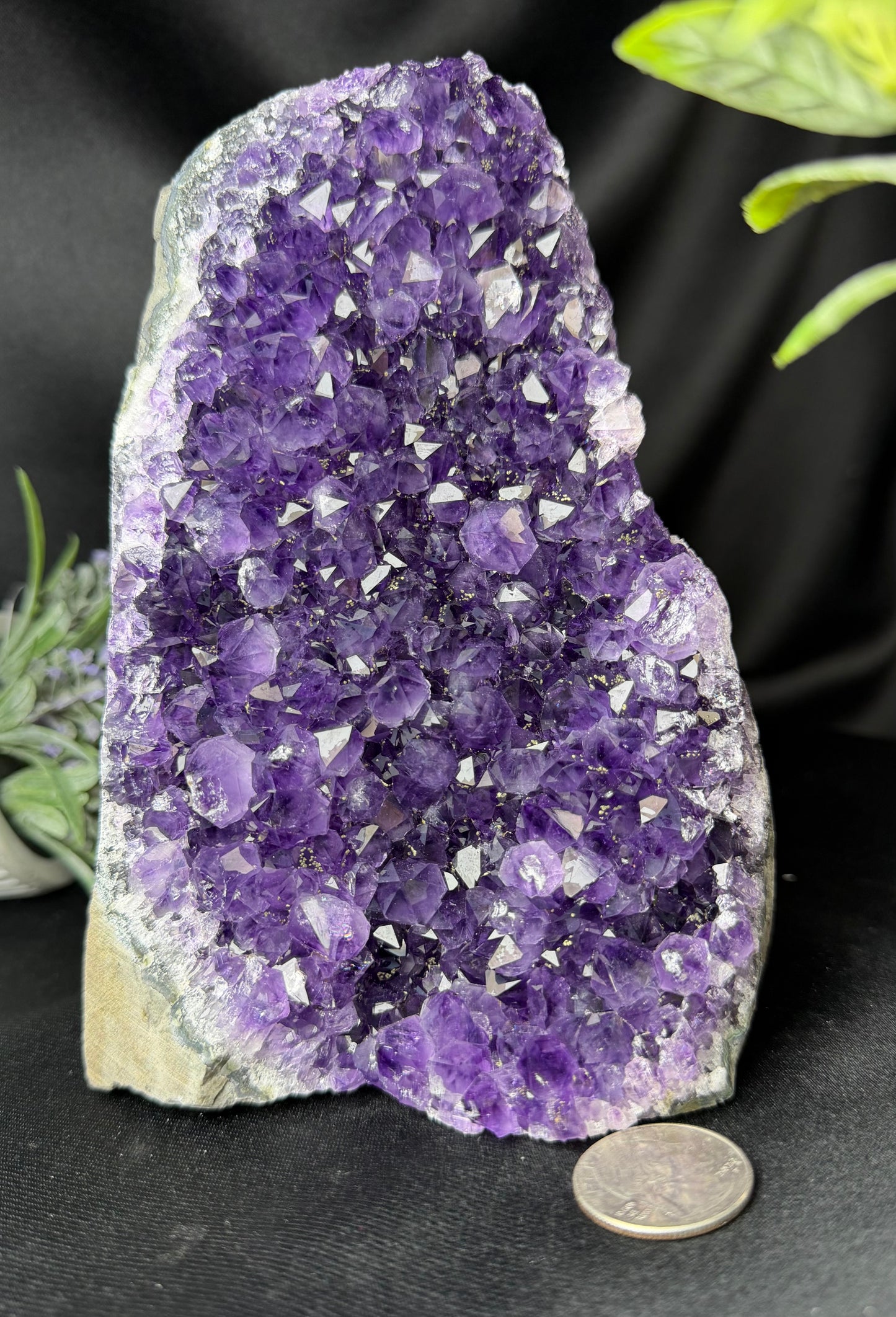 Uruguayan Amethyst Cut Base T