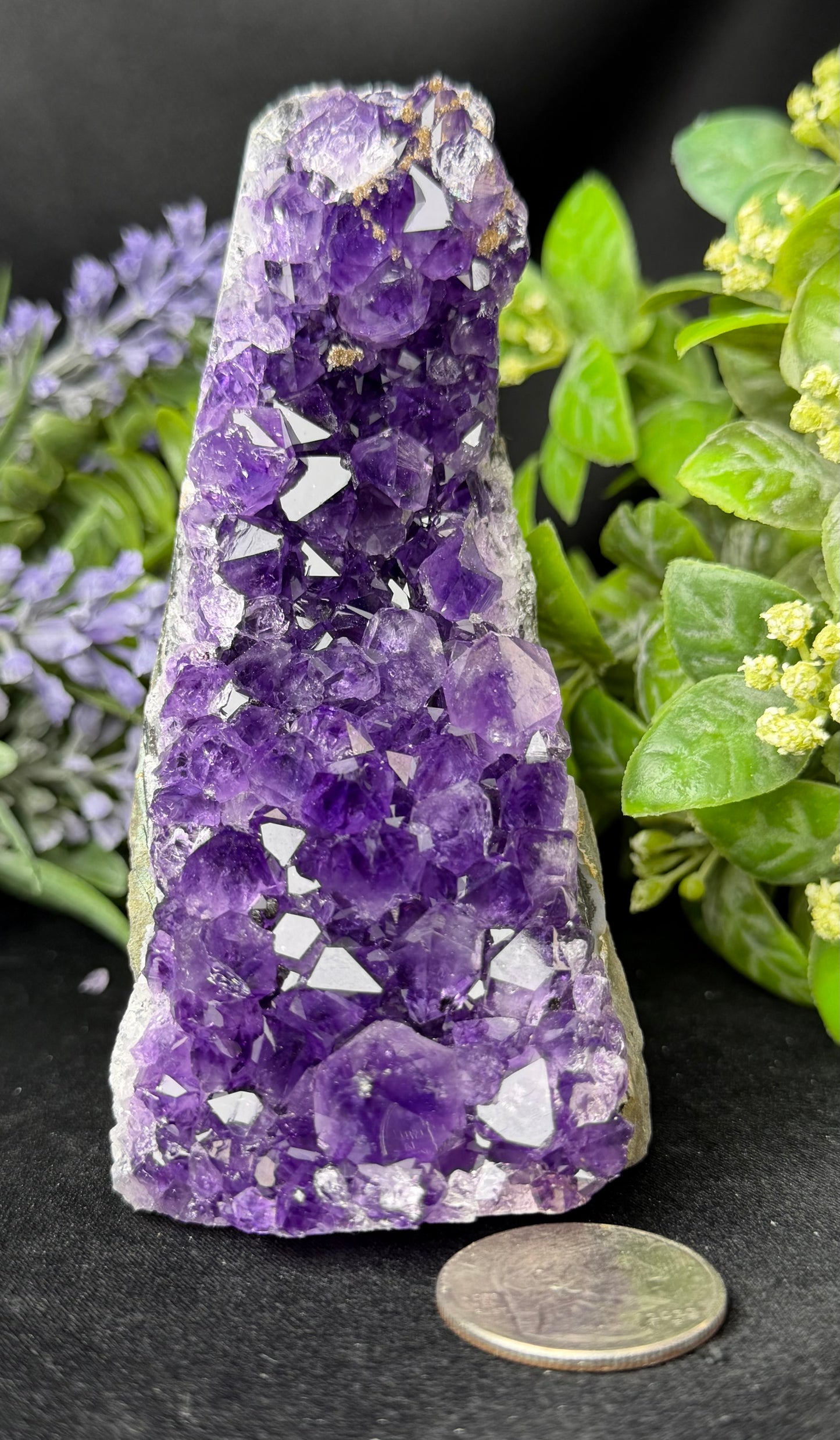 Uruguayan Amethyst Cut Base M
