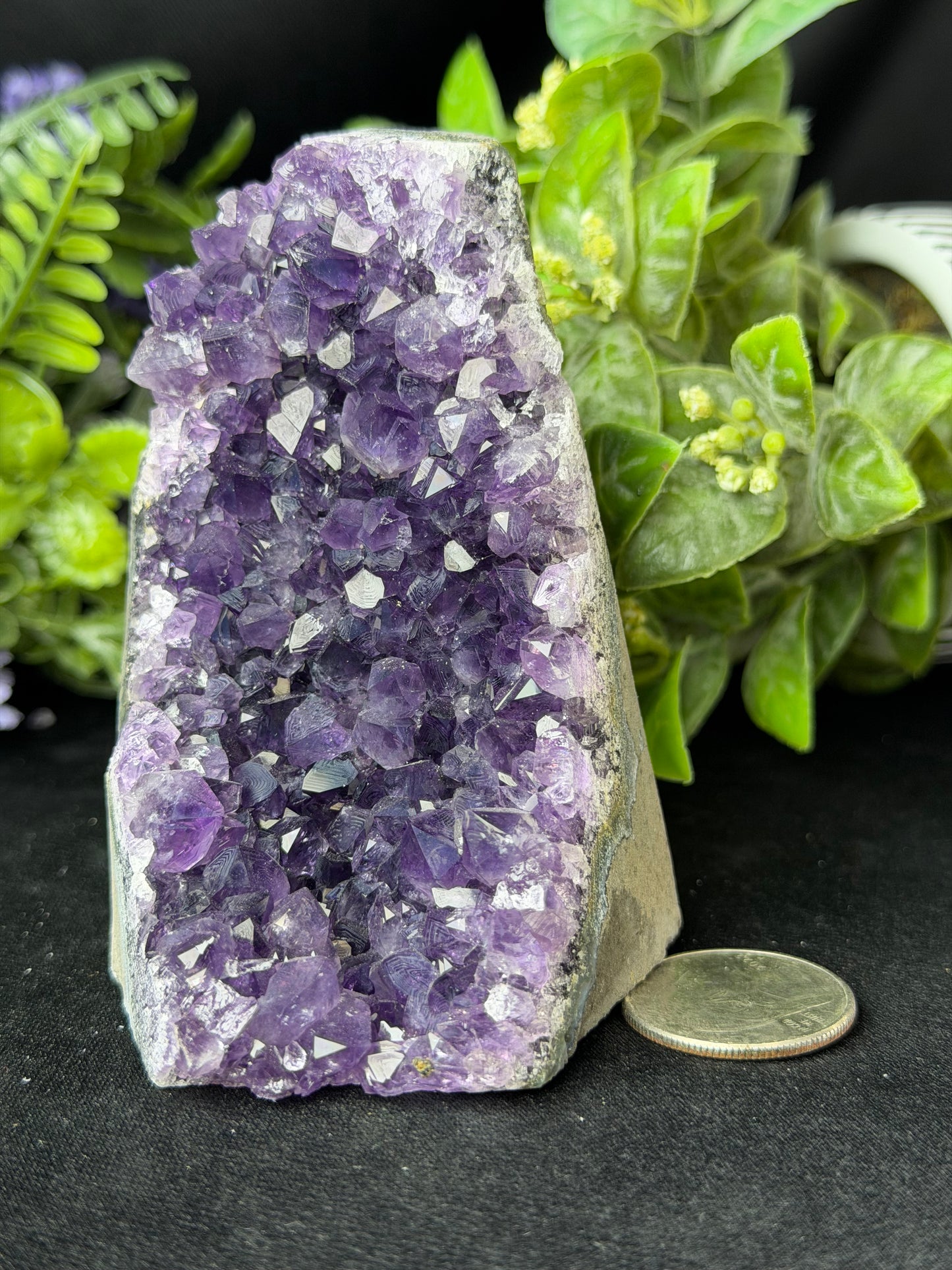 Uruguayan Amethyst Cut Base F