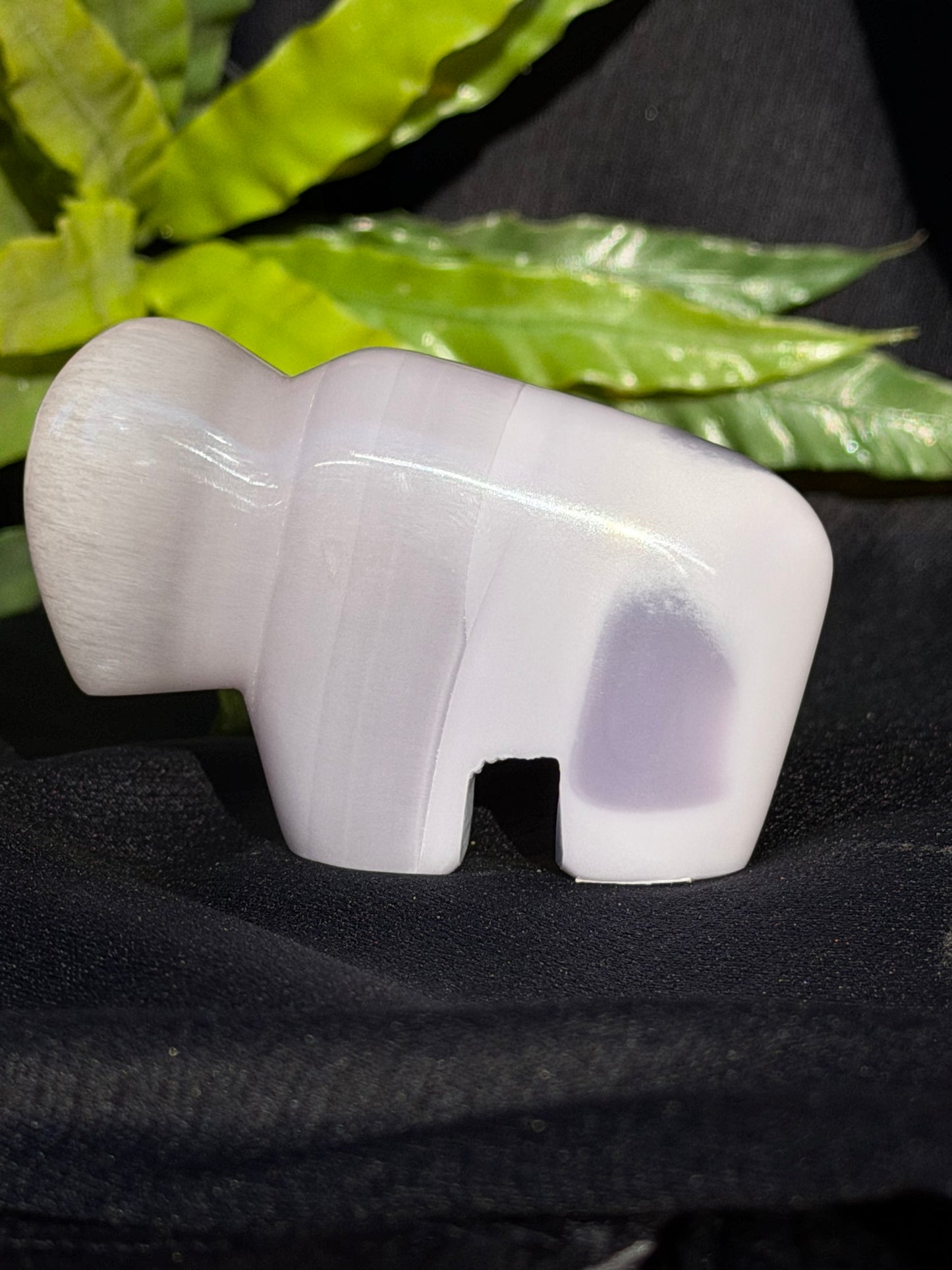 Lavender Fluorite Bison B - small