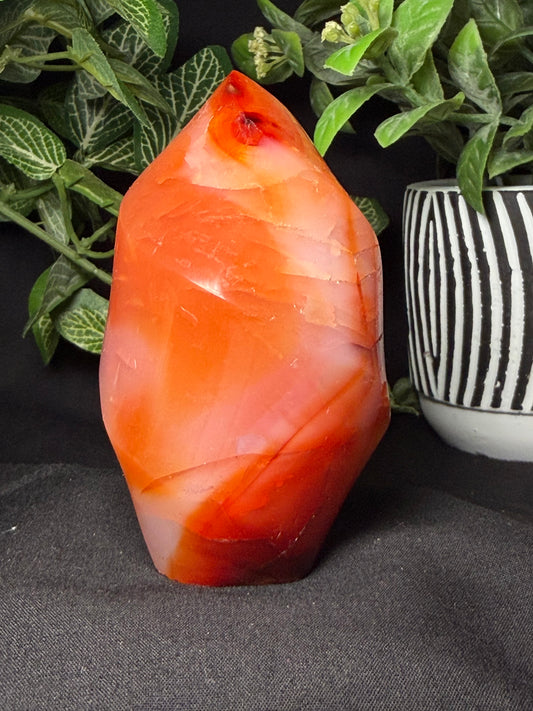 Carnelian Flame B