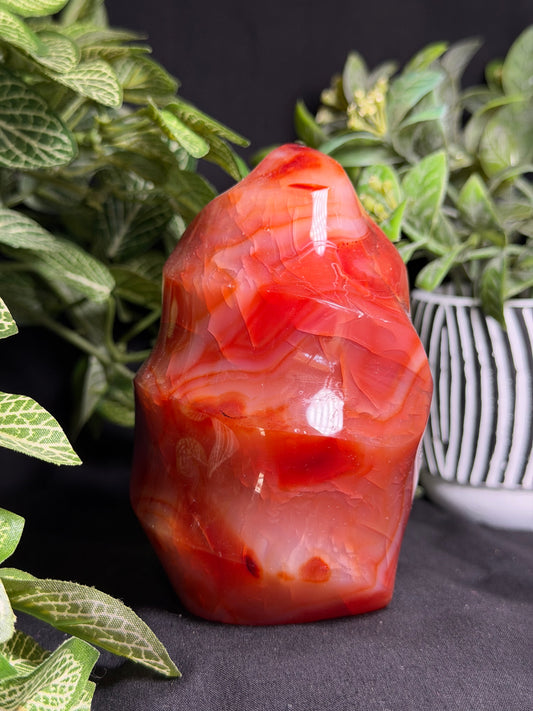 Carnelian Flame D