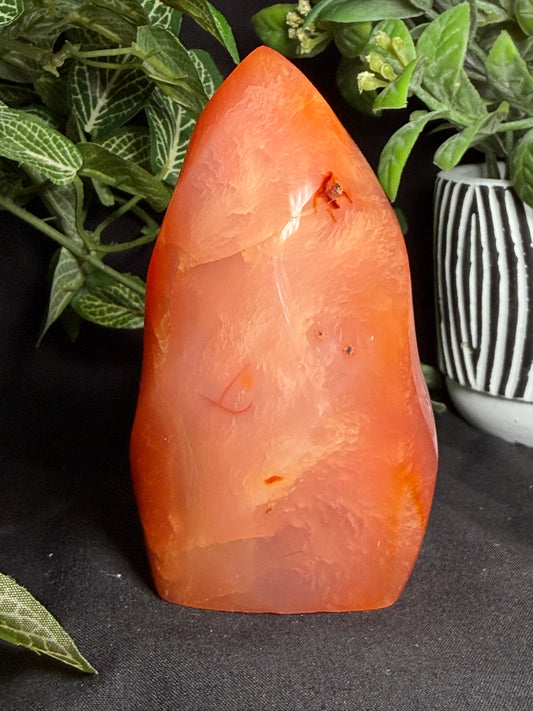 Carnelian Flame E