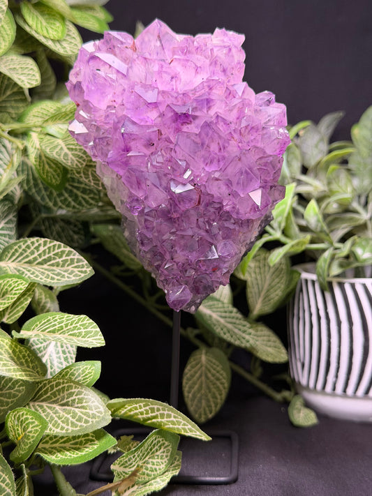 Amethyst Cluster on Stand